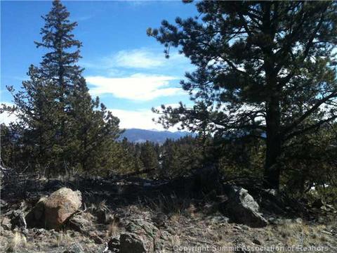 1343 Swiggler Rd, Como, CO 80432 photo 2
