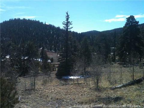 1343 Swiggler Rd, Como, CO 80432 photo 3