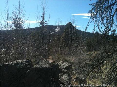 1343 Swiggler Rd, Como, CO 80432 photo 1