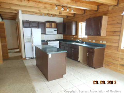 441 Palmers Dr, Silverthorne, CO 80498 photo 2