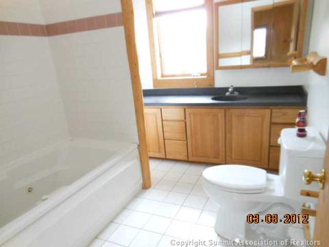 441 Palmers Dr, Silverthorne, CO 80498 photo 6