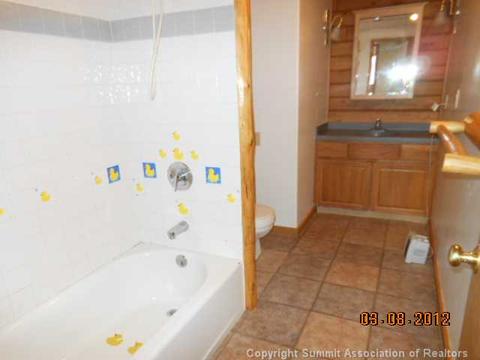 441 Palmers Dr, Silverthorne, CO 80498 photo 10