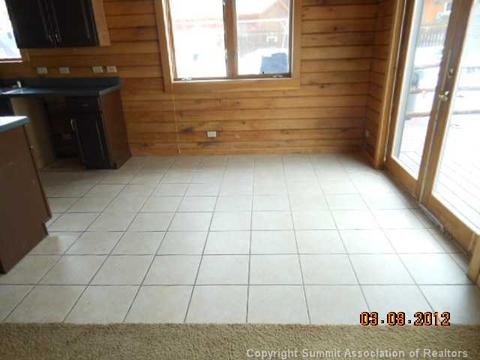 441 Palmers Dr, Silverthorne, CO 80498 photo 3