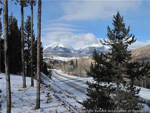 418 Deer Path Rd, Dillon, CO 80435 photo 2