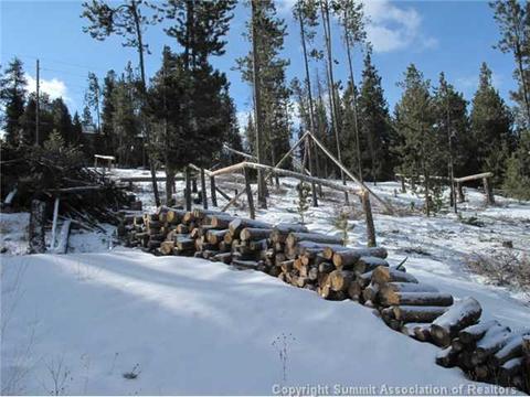 418 Deer Path Rd, Dillon, CO 80435 photo 4
