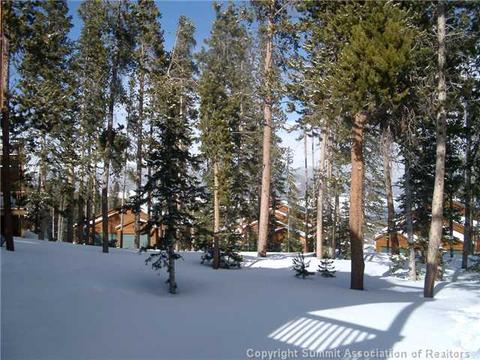 36 Bashore Ct, Silverthorne, CO 80498 photo 24