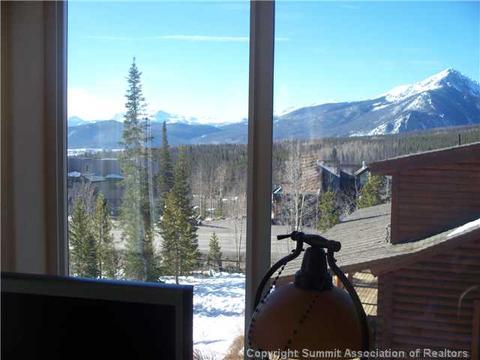 36 Bashore Ct, Silverthorne, CO 80498 photo 13
