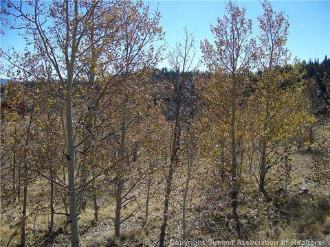 240 Buckskin Way, Como, CO 80432 photo 1