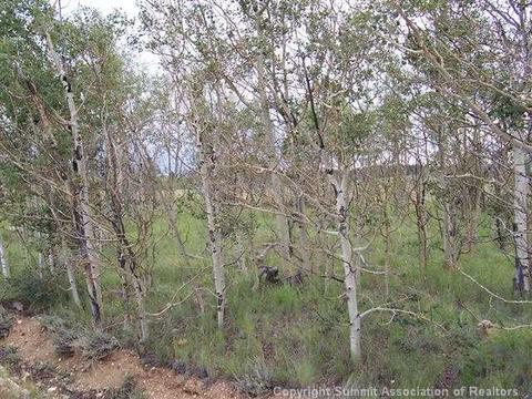 240 Buckskin Way, Como, CO 80432 photo 2