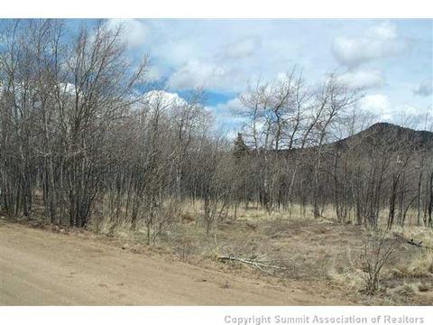 112 Buckskin Way, Como, CO 80432 photo 2
