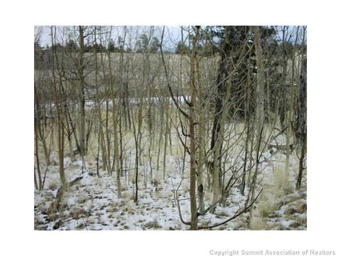 112 Buckskin Way, Como, CO 80432 photo 3