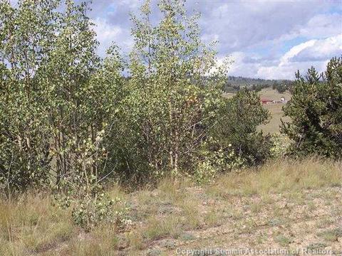 112 Buckskin Way, Como, CO 80432 photo 1