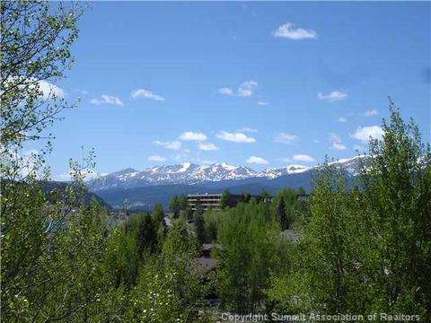 102 Gold Run Cir, Dillon, CO 80435 photo 2