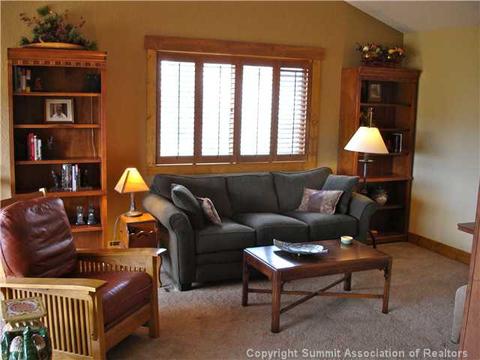 102 Gold Run Cir, Dillon, CO 80435 photo 10
