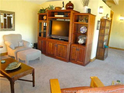 102 Gold Run Cir, Dillon, CO 80435 photo 11