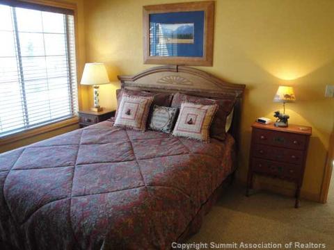 102 Gold Run Cir, Dillon, CO 80435 photo 23