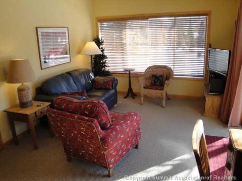 102 Gold Run Cir, Dillon, CO 80435 photo 22