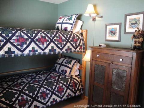 102 Gold Run Cir, Dillon, CO 80435 photo 24