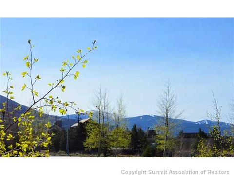 20 Crown Ct #20, Dillon, CO 80435 photo 17