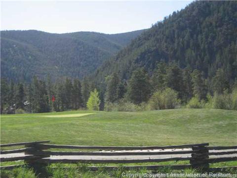 481 Ramrod Way, Como, CO 80432 photo 4