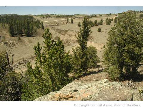 481 Ramrod Way, Como, CO 80432 photo 20