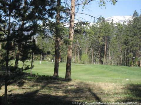 481 Ramrod Way, Como, CO 80432 photo 3