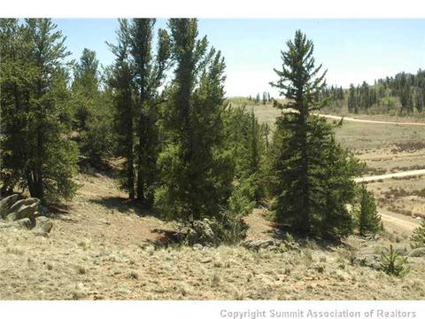 481 Ramrod Way, Como, CO 80432 photo 15