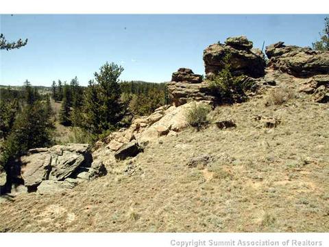 481 Ramrod Way, Como, CO 80432 photo 14
