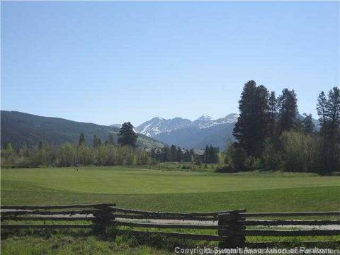 481 Ramrod Way, Como, CO 80432 photo 8