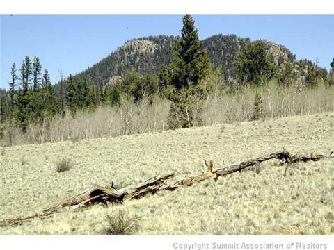481 Ramrod Way, Como, CO 80432 photo 18