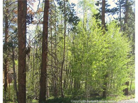 481 Ramrod Way, Como, CO 80432 photo 5