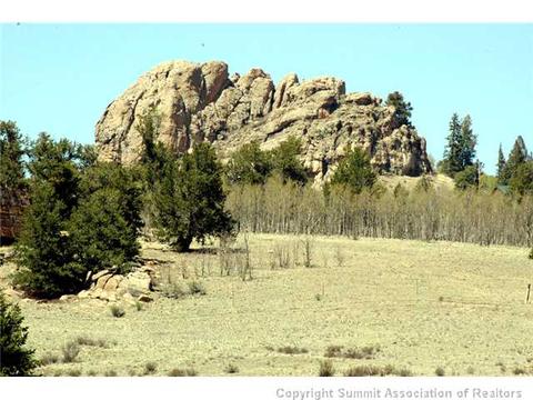 481 Ramrod Way, Como, CO 80432 photo 24