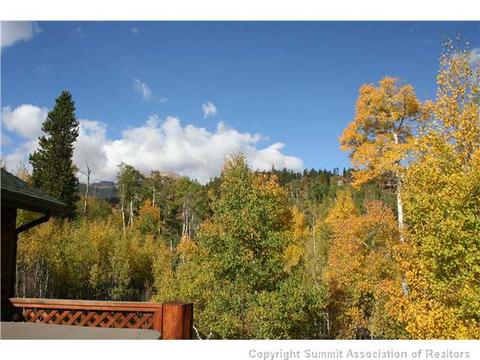 372 Black Hawk Cir, Silverthorne, CO 80498 photo 15