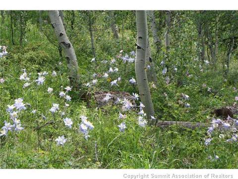 372 Black Hawk Cir, Silverthorne, CO 80498 photo 25