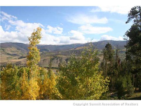 372 Black Hawk Cir, Silverthorne, CO 80498 photo 9