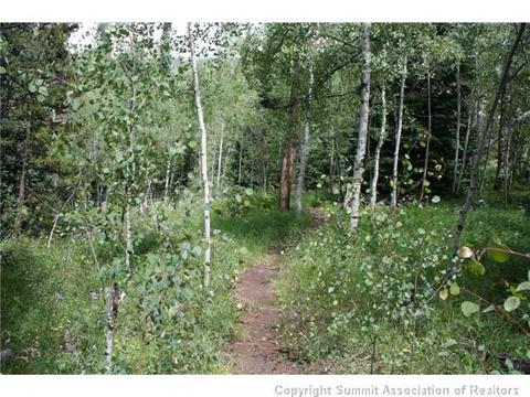 372 Black Hawk Cir, Silverthorne, CO 80498 photo 24