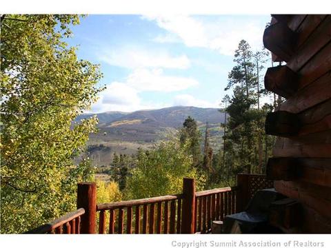 372 Black Hawk Cir, Silverthorne, CO 80498 photo 16