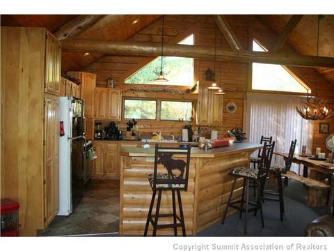 372 Black Hawk Cir, Silverthorne, CO 80498 photo 3