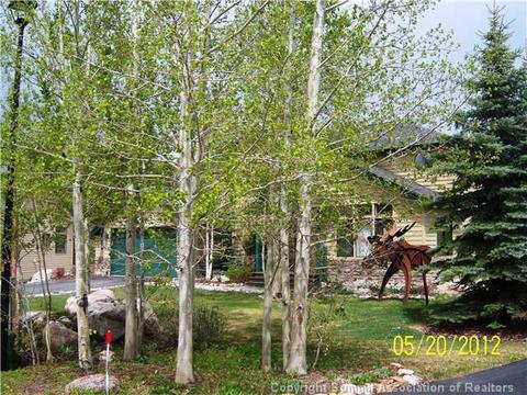 710 Eveningstar Rd, Silverthorne, CO 80498 photo 3