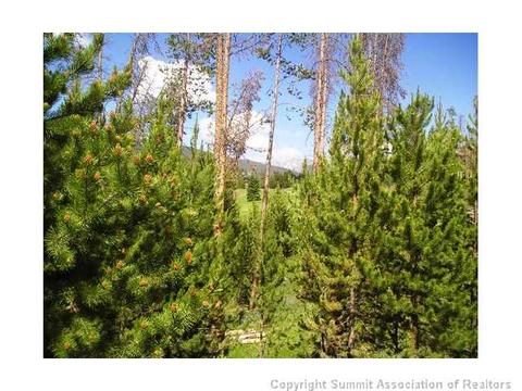136 Cartier Ct, Dillon, CO 80435 photo 2