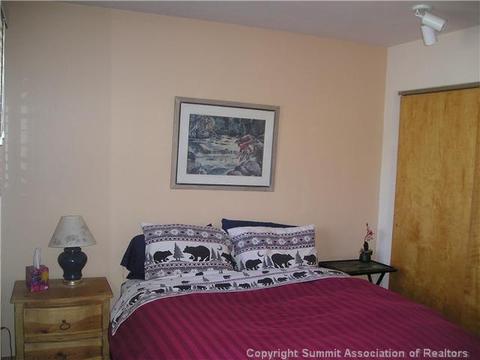 136 Cartier Ct, Dillon, CO 80435 photo 8