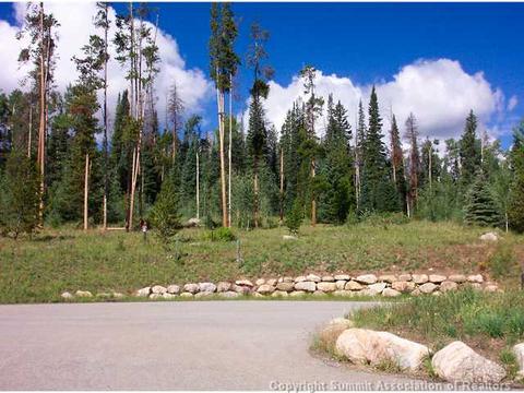 185 Highline Xing, Silverthorne, CO 80498 photo 1