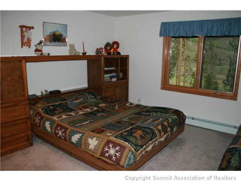502 Idlewild Dr, Dillon, CO 80435 photo 14
