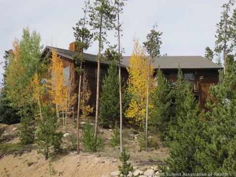502 Idlewild Dr, Dillon, CO 80435 photo 1