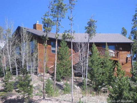 502 Idlewild Dr, Dillon, CO 80435 photo 21