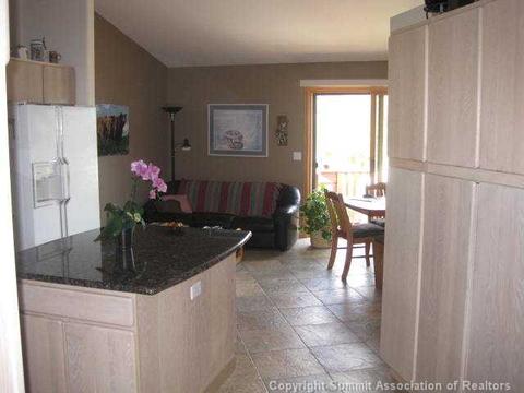 502 Idlewild Dr, Dillon, CO 80435 photo 24