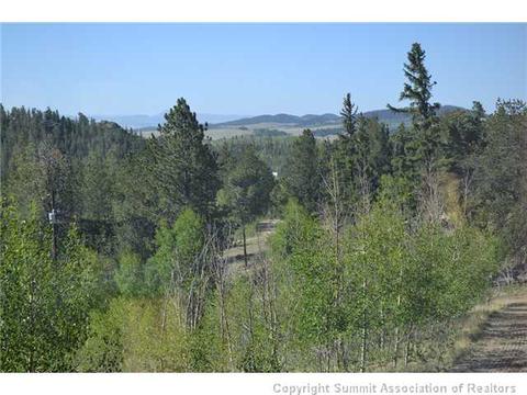 1765 Ute Trl, Como, CO 80432 photo 13