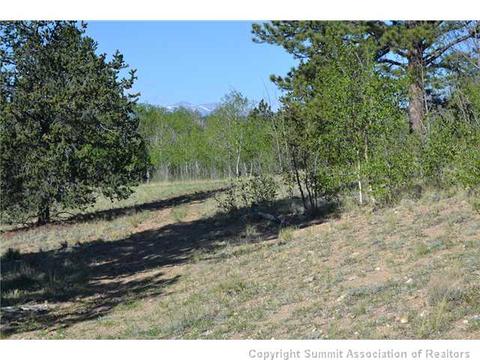 1765 Ute Trl, Como, CO 80432 photo 20
