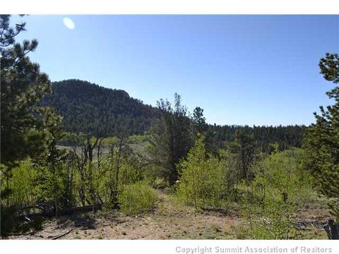 1765 Ute Trl, Como, CO 80432 photo 2