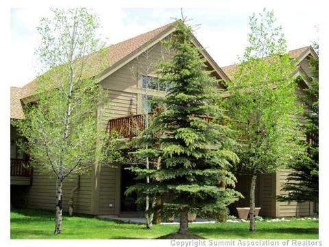 104 Range View Cir, Silverthorne, CO 80498 photo 1